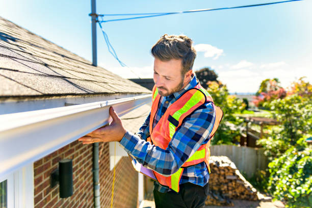 Roof Moss and Algae Removal in Easton, CA